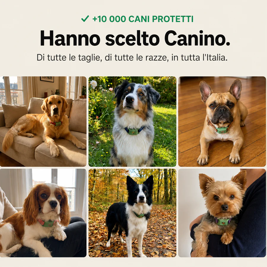 CANINO™ | PROTEZIONE NATURALE 12 MESI
